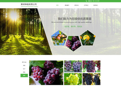 綠色環(huán)保-果樹(shù)種植基地網(wǎng)站建設(shè)案例